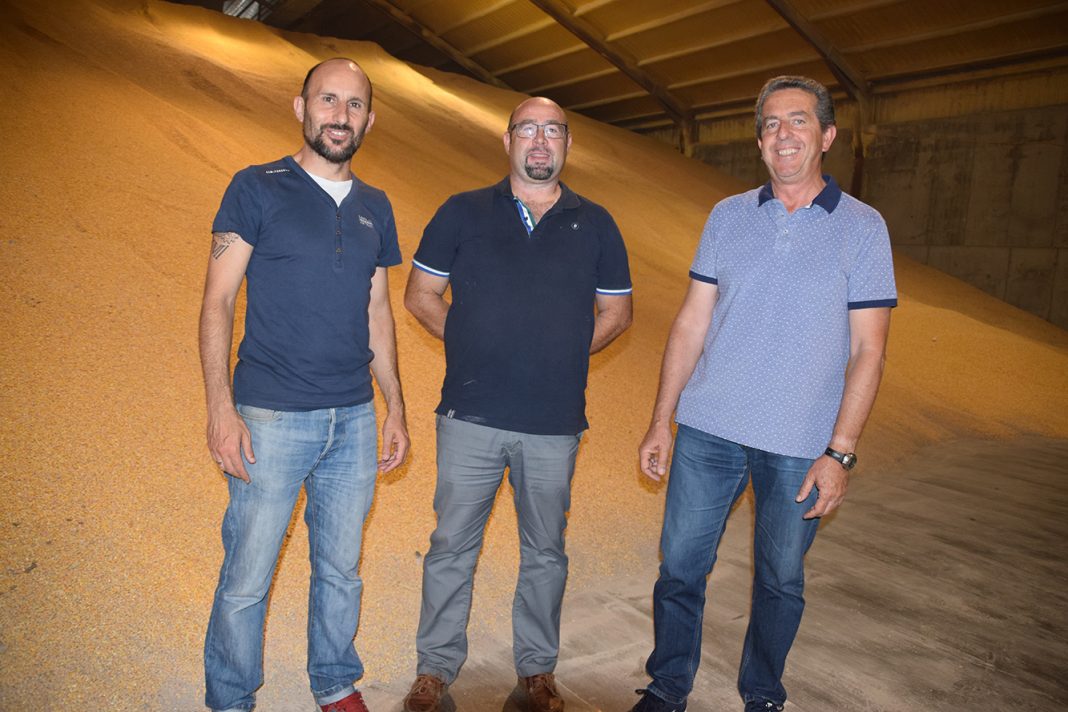 Luis María Palencia